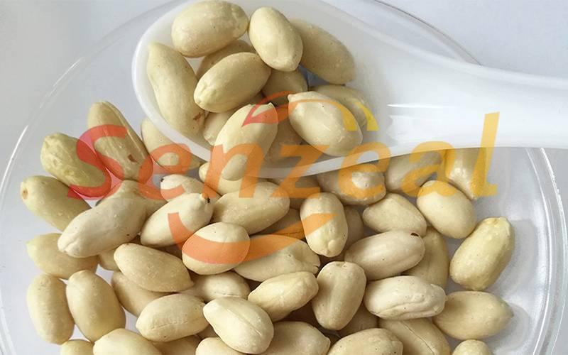 Blanched Peanut Kernels